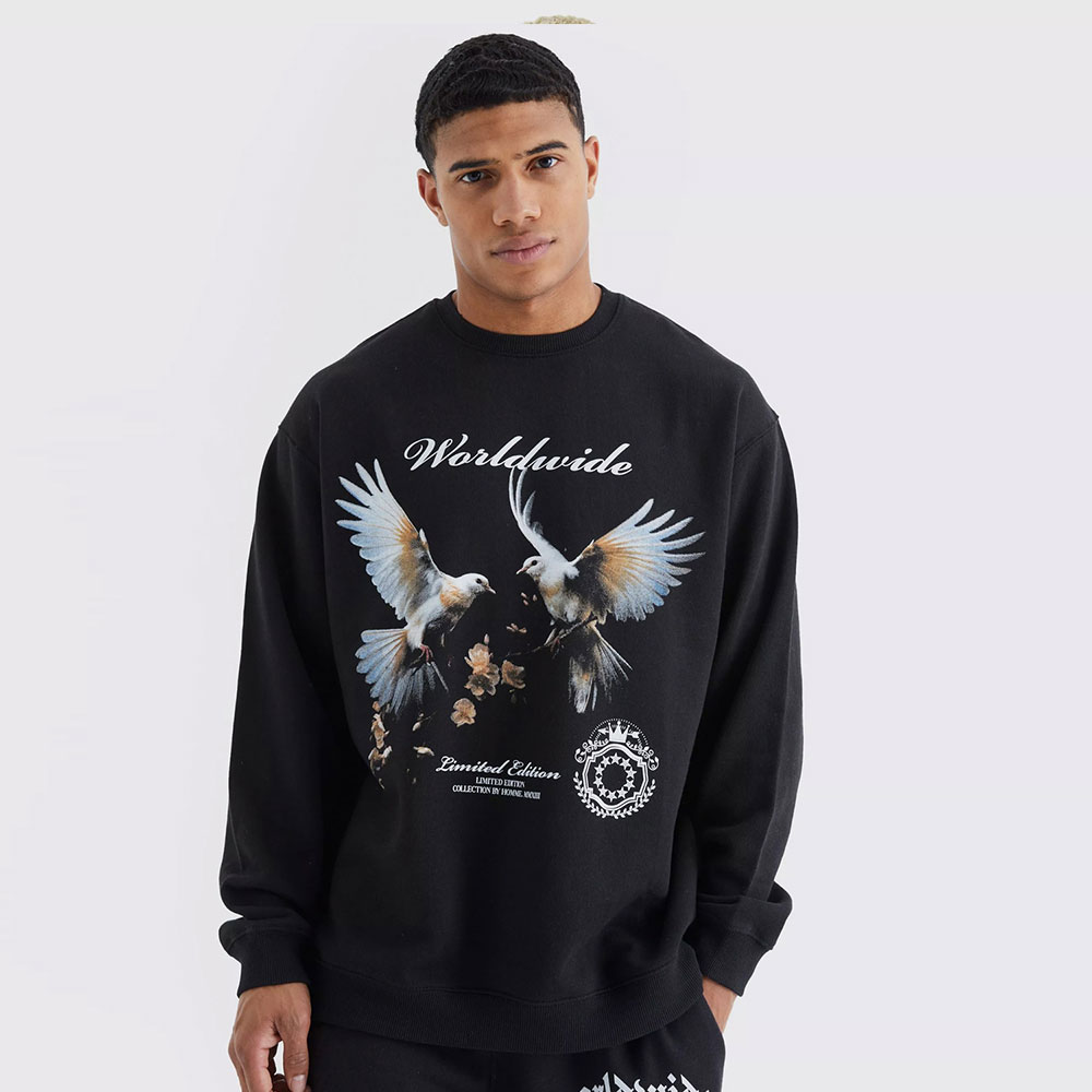 Oversized Dove Graphic Sweatshirt